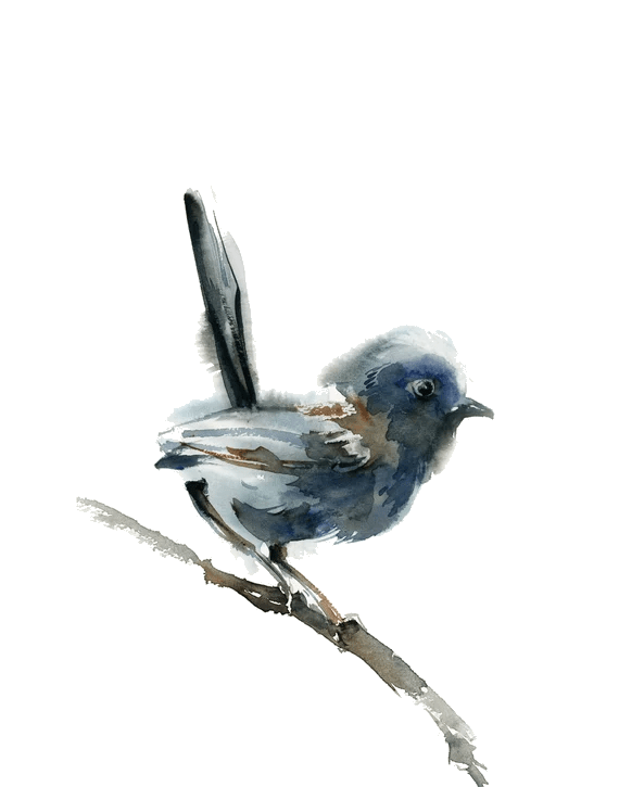Pájaro azul en acuarela posado en una rama